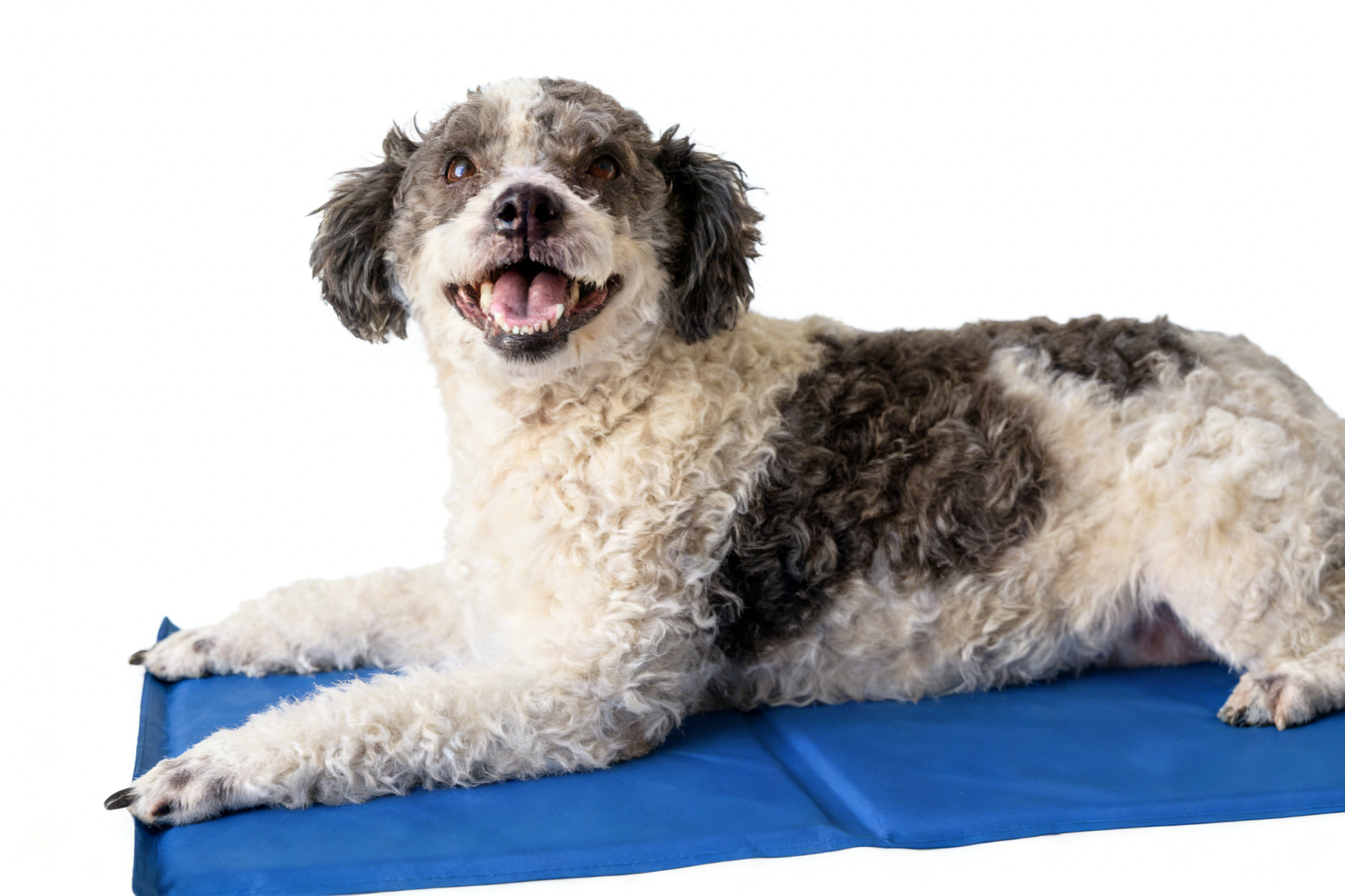 Cooling Gel Mat Pad - Blue