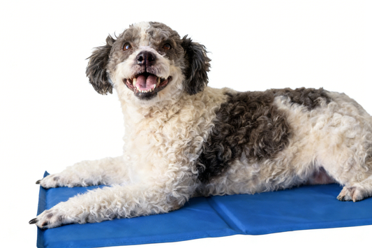 Cooling Gel Mat Pad - Blue