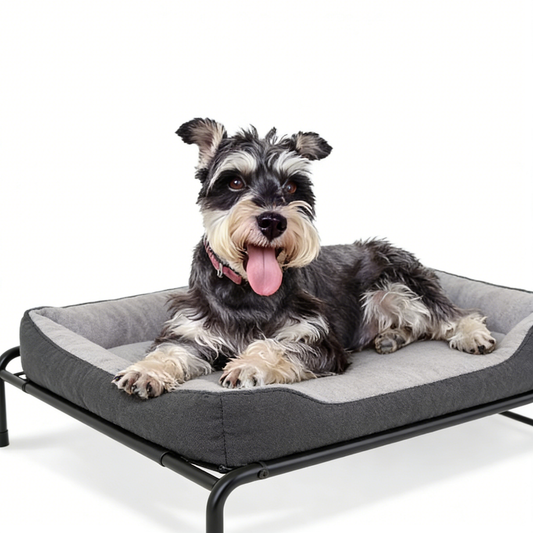 Elevated Cooling Pet Cot - Black