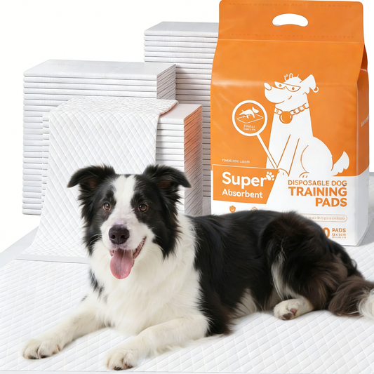 Indoor Pet Potty Pads - White/Blue