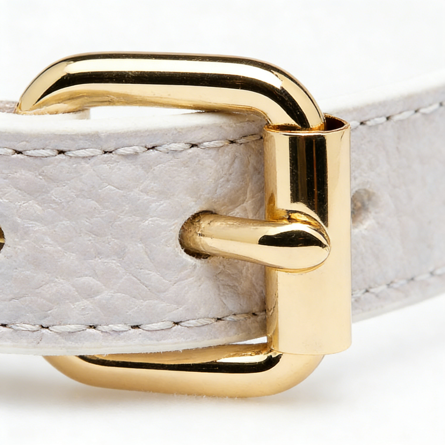 Leather Dog Collar