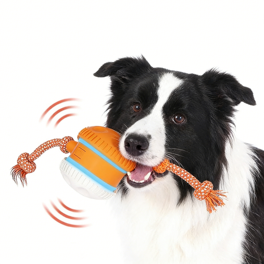 Motion-Activated Dog Ball - Orange/White