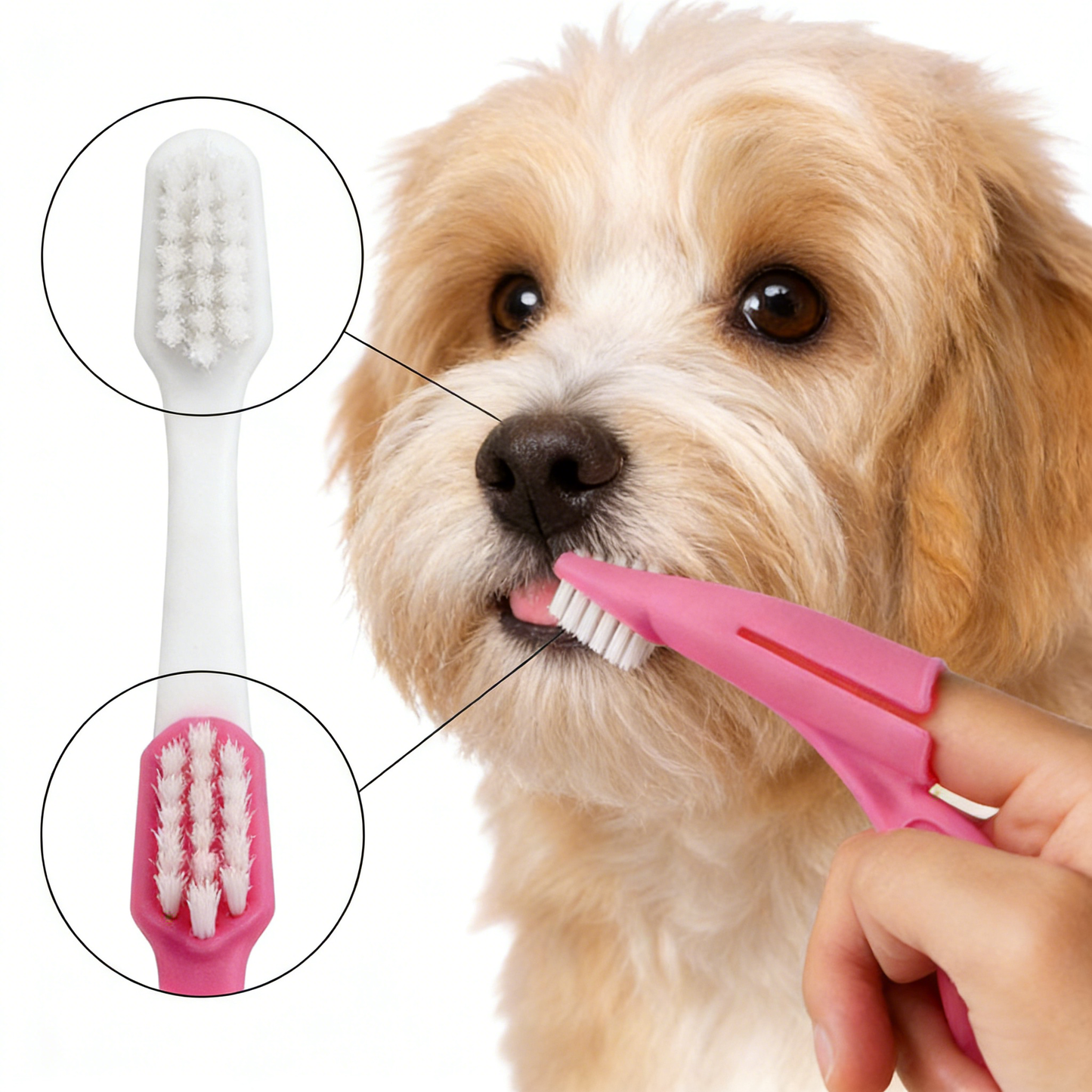 Pet Toothbrush Set