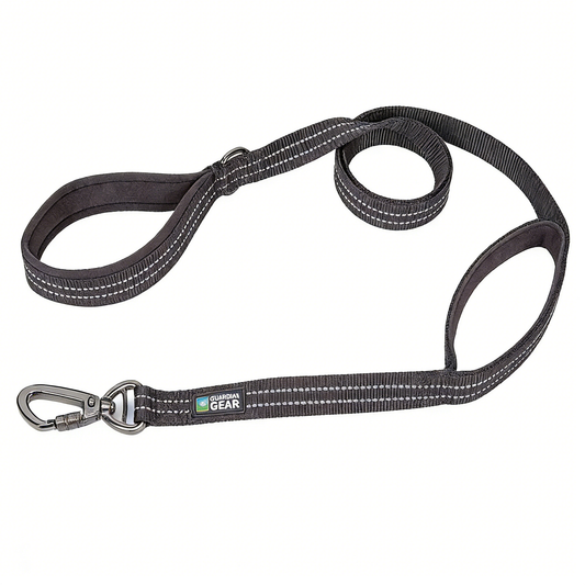 Reflective Nylon Leash - Black/Reflective